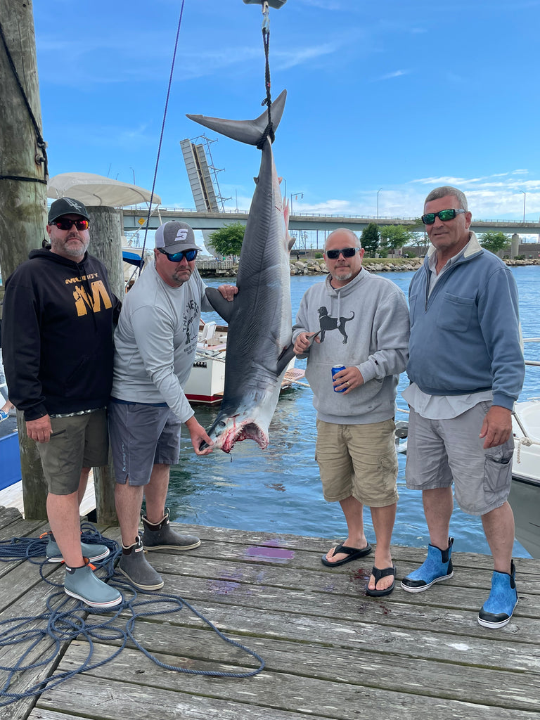 Tunas In The Gully/Niantic Sharkweek – J&B Tackle Co