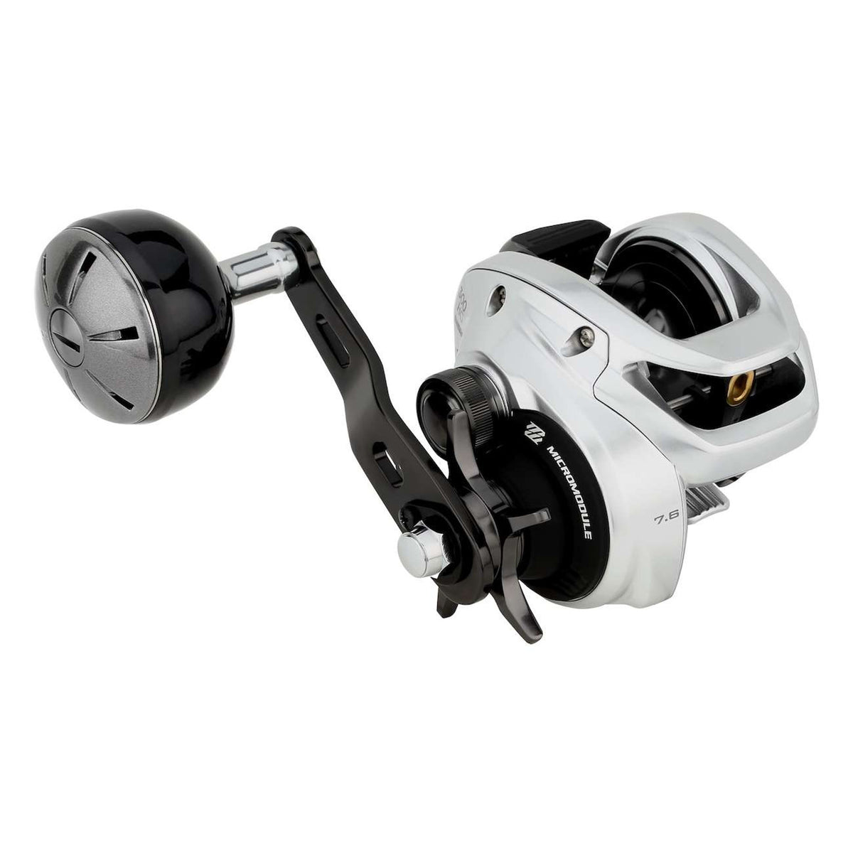 2025 New Shimano TranX 300 B Baitcast Reels