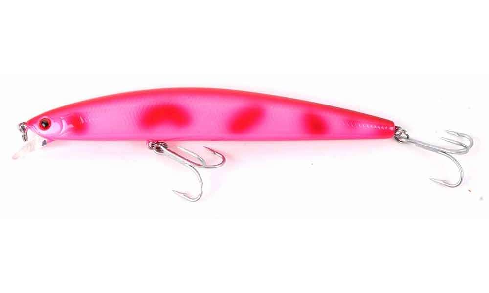 Sp minnows online