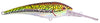 Nomad Design DTX Minnow Deep Diving Trolling Lures